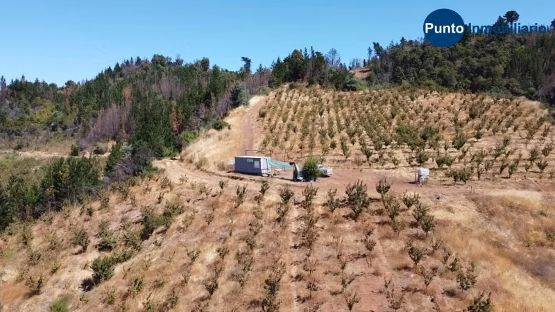 Campo Cerezos y Paltos