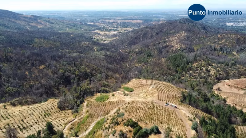 Campo Cerezos y Paltos