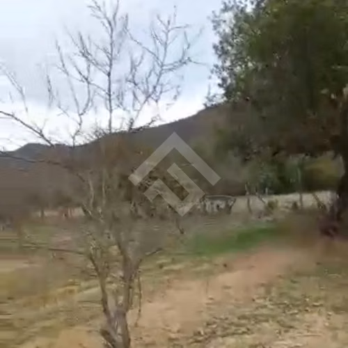 Sitio en venta en Curacaví