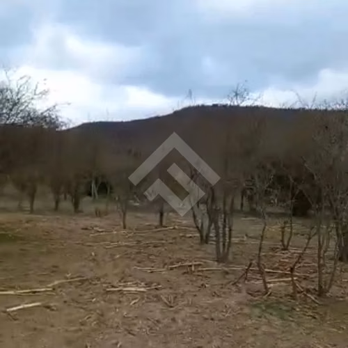 Sitio en venta en Curacaví