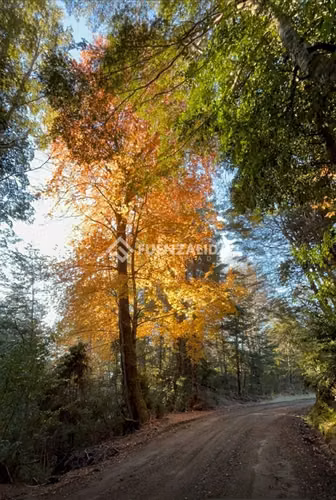 Sitio en venta en Panguipulli