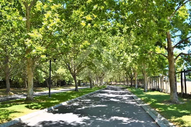 Sitio en venta en Colina