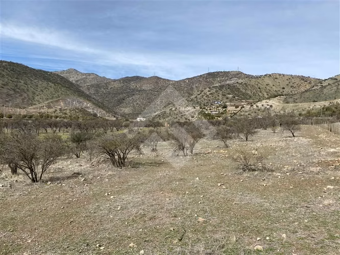 Sitio en venta en Colina - Imagen 5