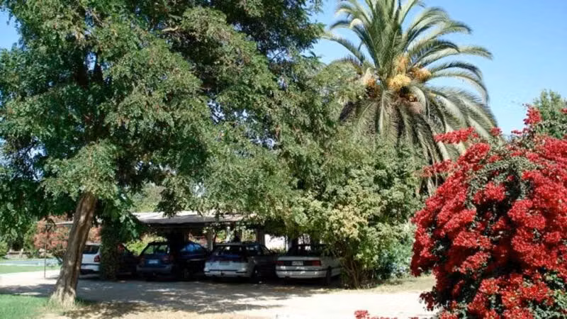 Parcela en Venta en Curacaví
