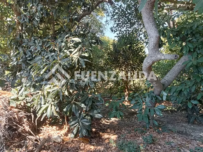 Sitio en venta en La Cruz