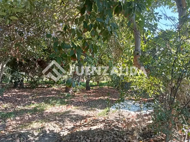 Sitio en venta en La Cruz