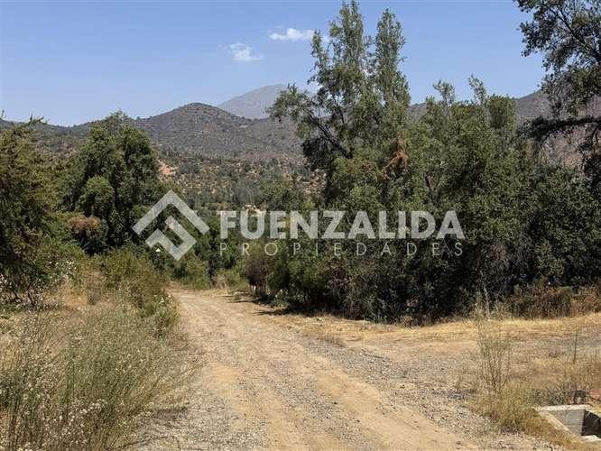 Venta, Parcela, Olmué, sector Las Palmas. - Imagen 5