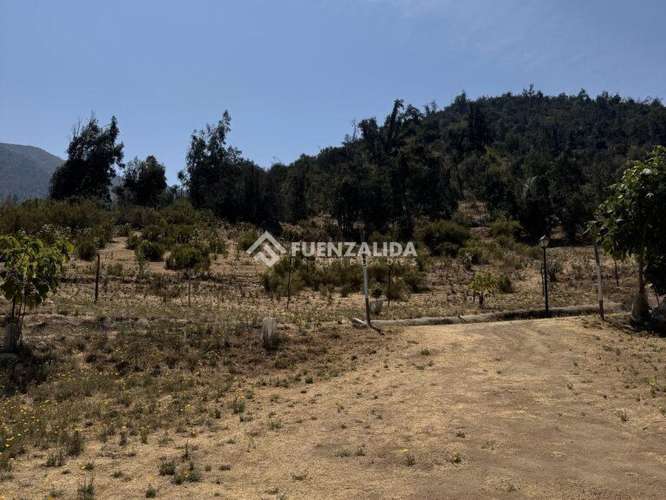 Venta, Parcela, Olmué, sector Las Palmas. - Imagen 7