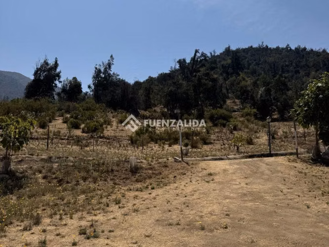 Venta, Parcela, Olmué, sector Las Palmas.