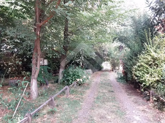 Local Comercial en venta en Pinto