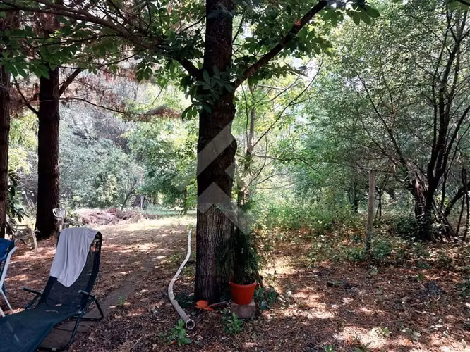 Local Comercial en venta en Pinto