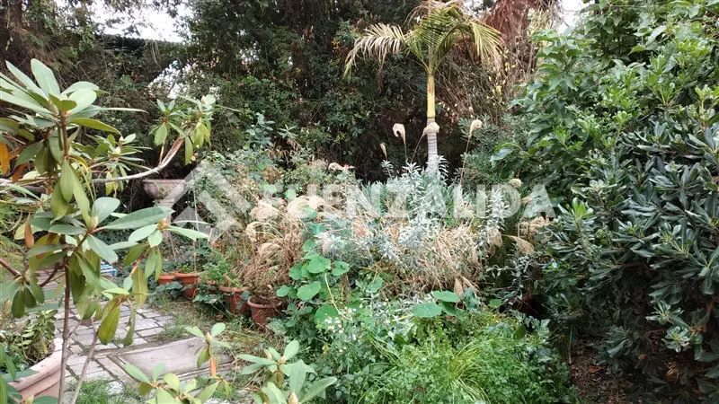 BARRIO TRANQUILO Casa en venta de 3 dorm. en La Reina
