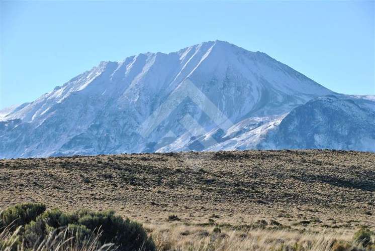 Venta, Parcelas, Península de Levicán, Río Ibáñez, Aysén - Imagen 9