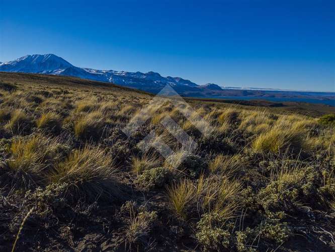 Venta, Parcelas, Península de Levicán, Río Ibáñez, Aysén - Imagen 2