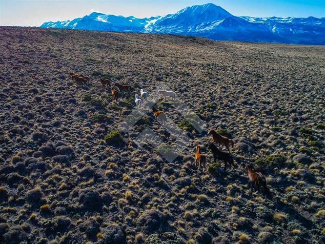 Venta, Parcelas, Península de Levicán, Río Ibáñez, Aysén - Imagen 12