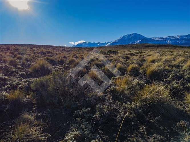 Venta, Parcelas, Península de Levicán, Río Ibáñez, Aysén - Imagen 4
