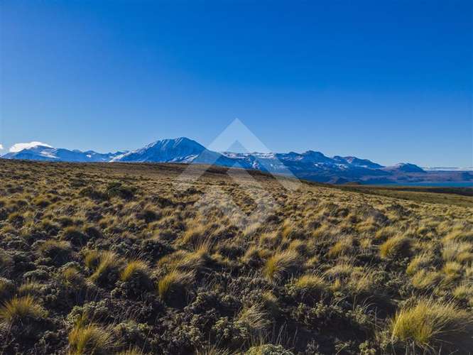 Venta, Parcelas, Península de Levicán, Río Ibáñez, Aysén - Imagen 3
