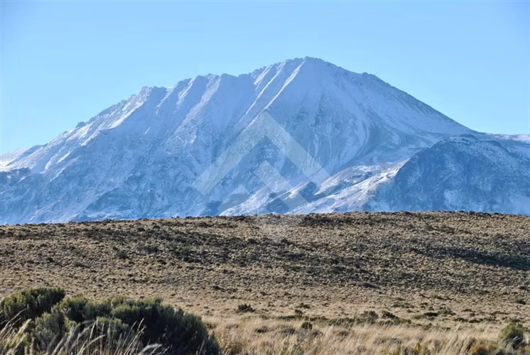 Venta, Parcelas, Península de Levicán, Río Ibáñez, Aysén