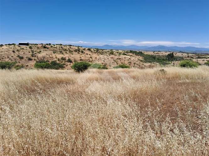 Sitio en venta en La Estrella - Imagen 3