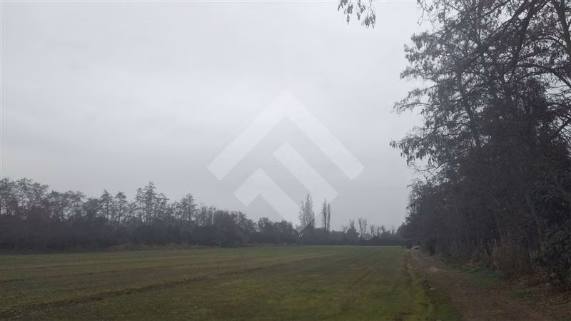 Agrícola en venta en Paine