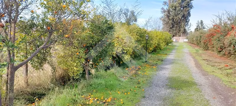 Parcela en Venta en Buín