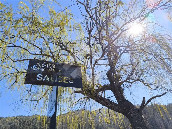 Parcela en Venta en Cauquenes