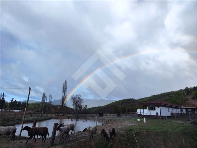 Sitio en Venta en Cauquenes