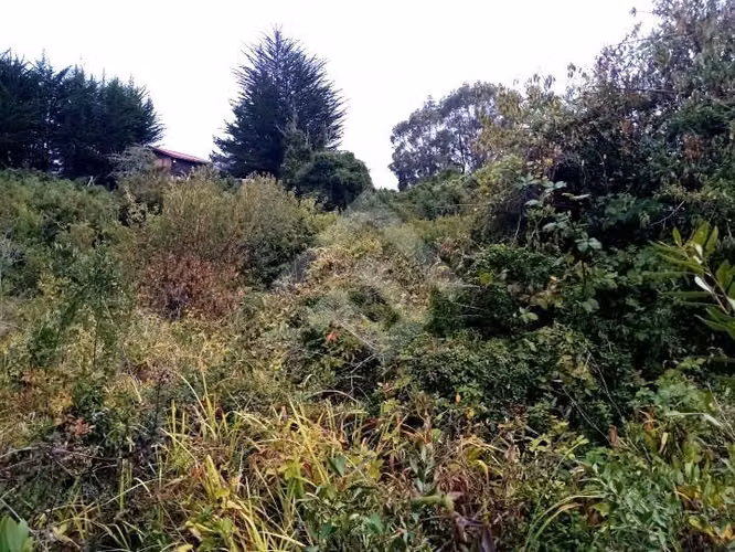 Espectacular sitio en venta en Frutillar