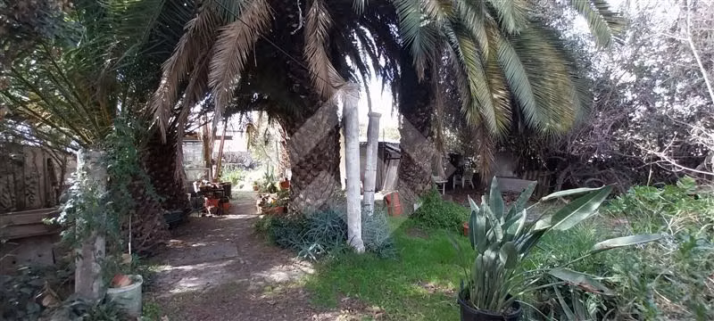 Terreno Construccion  en Venta en La Reina