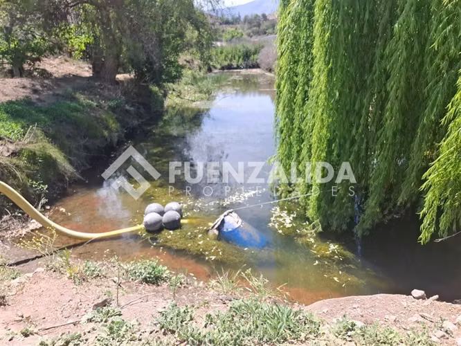Agrícola Vitícola pisquera en venta en La Viñita, Vicuña
