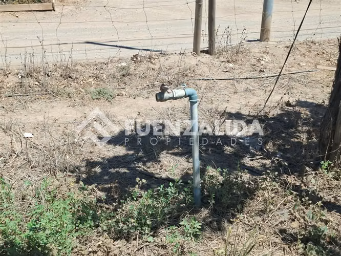 Agrícola Vitícola pisquera en venta en La Viñita, Vicuña