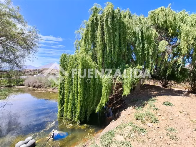 Agrícola Vitícola pisquera en venta en La Viñita, Vicuña