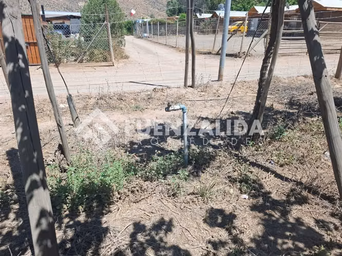 Agrícola Vitícola pisquera en venta en La Viñita, Vicuña