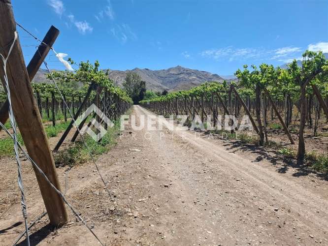 Agrícola Vitícola pisquera en venta en La Viñita, Vicuña