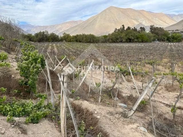 Parcela en venta en Vicuña - Imagen 8