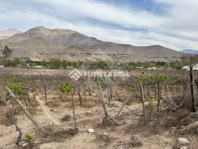 Parcela en venta en Vicuña - Imagen 3