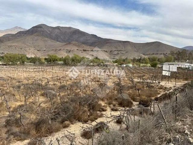 Parcela en venta en Vicuña
