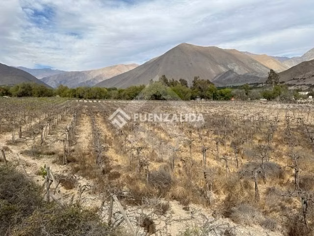Parcela en venta en Vicuña - Imagen 10
