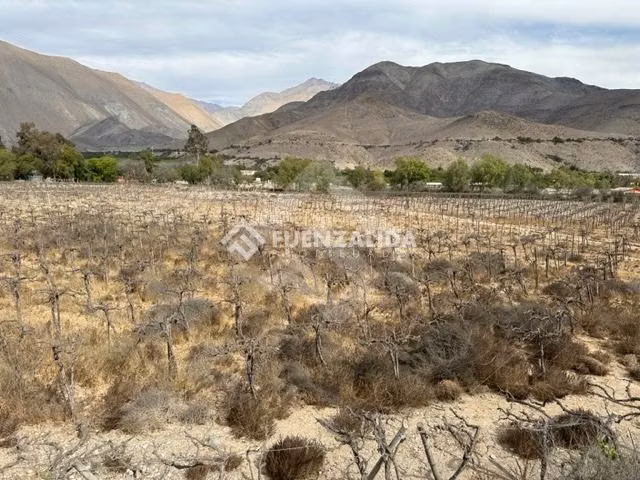 Sitio en venta en Vicuña - Imagen 5