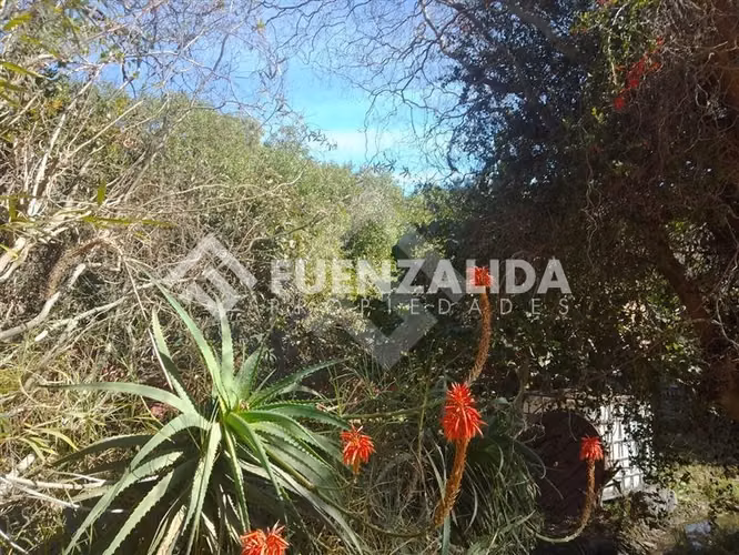 Parcela en arriendo El Molle