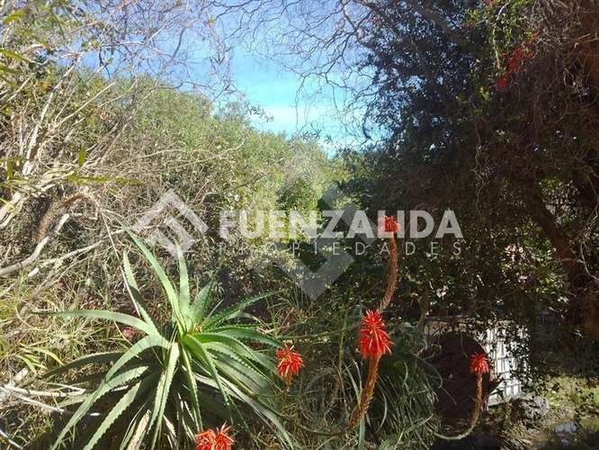 Parcela en arriendo El Molle