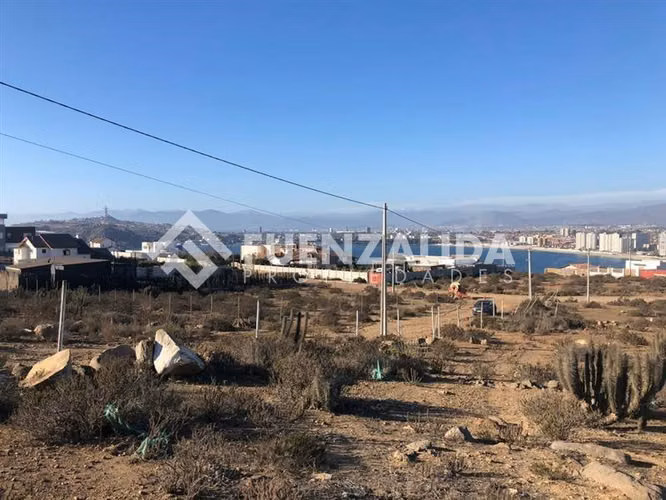 Sitio en venta altos de La Herradura en Coquimbo