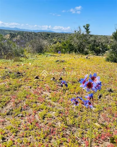 Hermoso terreno en venta Playa Grande Tongoy, cerca Humedal