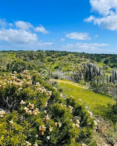Hermoso terreno en venta Playa Grande Tongoy, cerca Humedal