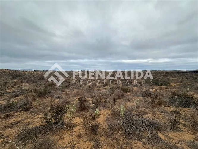 Sitio en venta Morrillos Norte