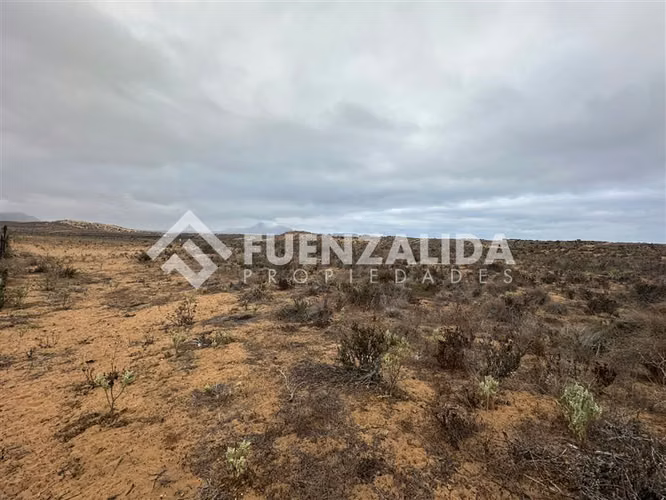Sitio en venta Morrillos Norte