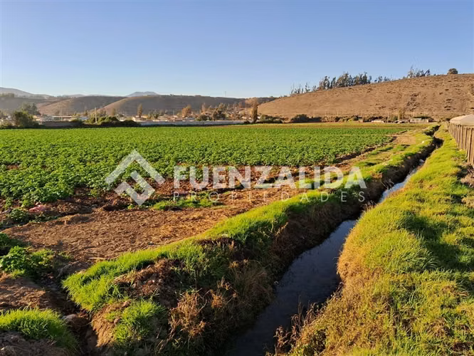 Parcela de una hectarea en venta en Coquimbito, La Serena
