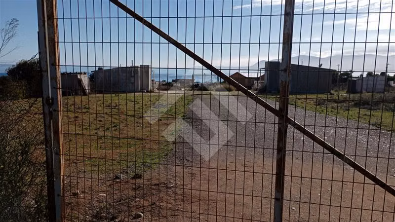 Sitio con 2 Cabañas alajadas en venta en Guanaqueros - Imagen 4
