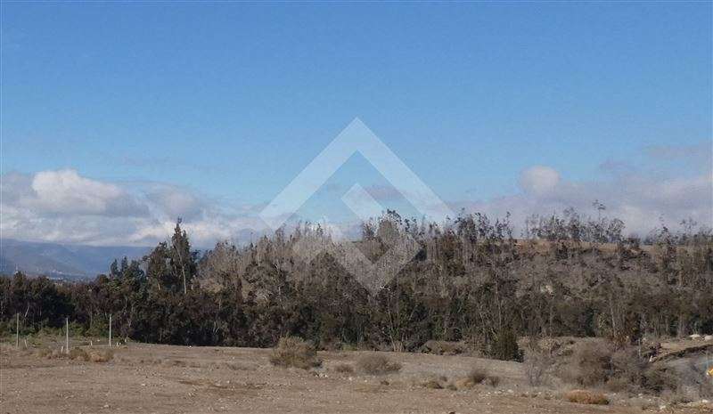 Parcela en venta en KM 15 La Serena, agua potabilizada, luz