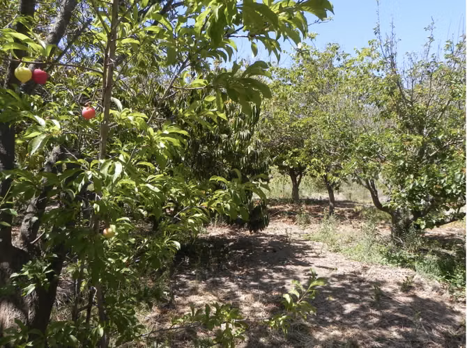 Parcela en venta en La Serena - Imagen 16